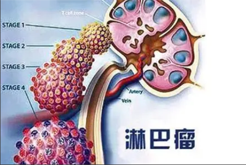 截图20210912161350.png