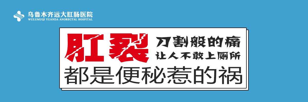 banner5.jpg