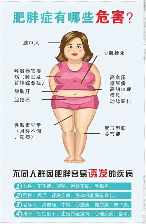 1692091134608651.jpg 4.jpg