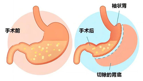 1692091210952993.jpg 6.jpg