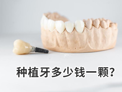 画板 11.jpg