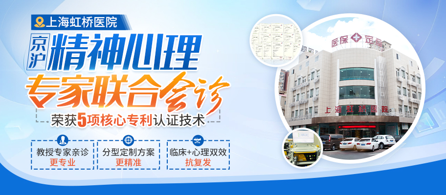 虹桥JS-视频封面图912x400（04）.jpg